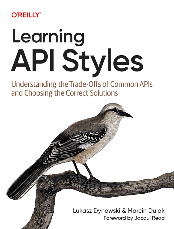 Learning API Styles