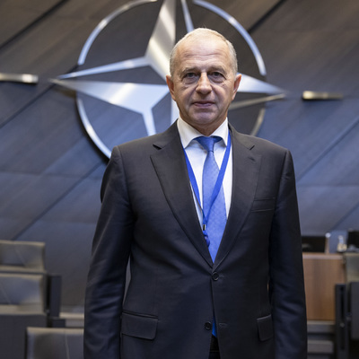 Mircea Geoană